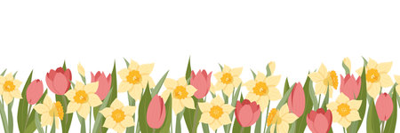 A vibrant spring floral border with daffodils and tulips. Spring vector illustration for your designs.のイラスト素材