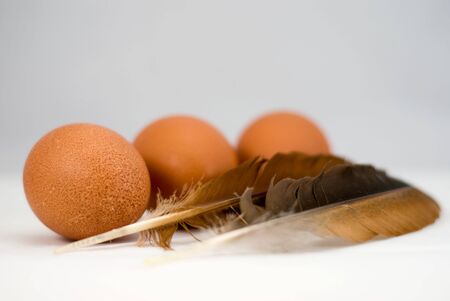 Brown eggs and feathers