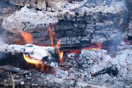 Cook out camp fire
