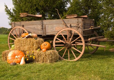 Autumn Still Lifeの写真素材