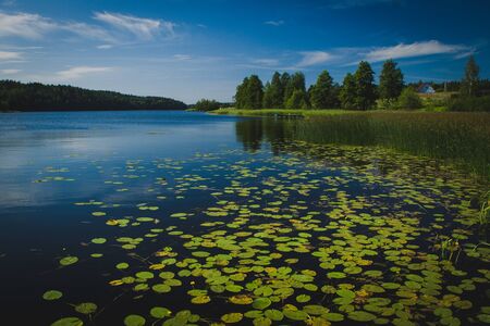 Forest lakeの写真素材
