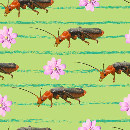 Pattern with Flowers and Beetles Stock Vectorのイラスト素材