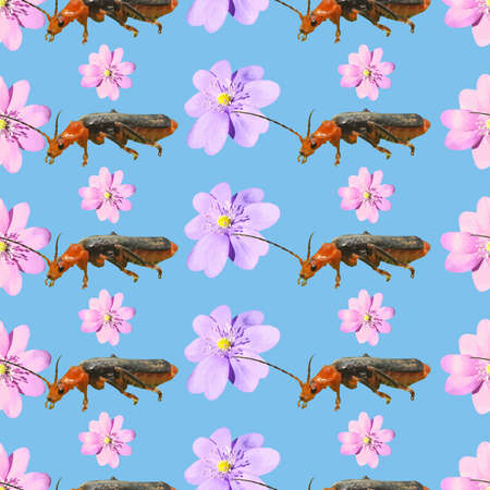 Nature Pattern with Flowers and Beetles Stock Vectorのイラスト素材
