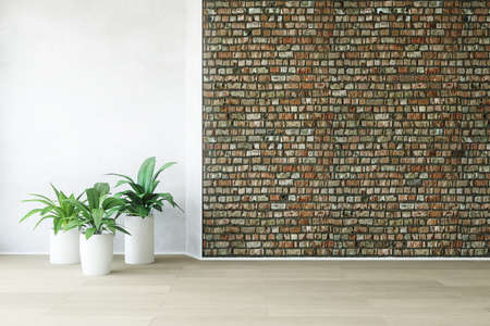 Brick Wall with Plants, Empty Interior Room, Simple Office Trend, Fashion Conceptual Style, 3D Rendering Art Graphic Design.の写真素材
