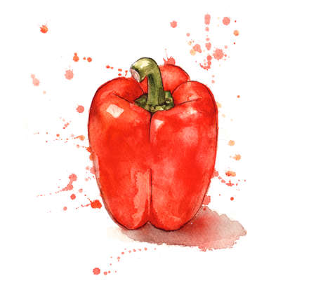 Red pepper, hand painted with watercoloursの写真素材