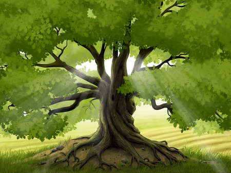 Digital illustration of a summer oak tree.の写真素材