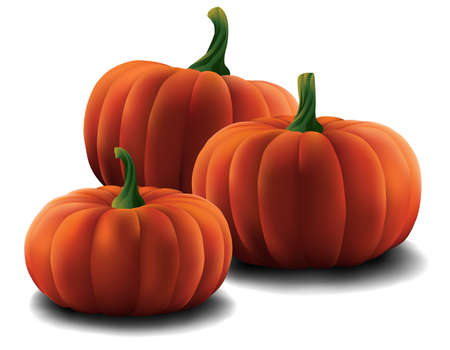 Set of Pumpkins isolatedのイラスト素材