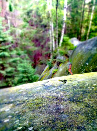 Happy wedding couple on sea beach. Bride and groomの写真素材