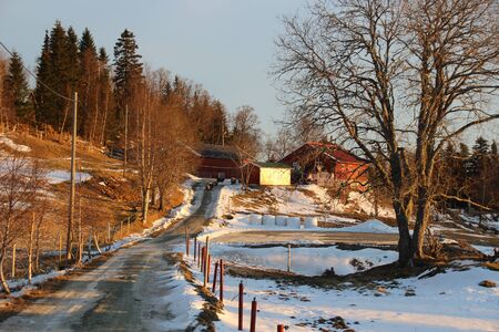 Farm house in the snow winter in Norway Bymarka trail Trondheimの写真素材