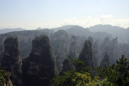 View from Mount Huangshizhai Zhangjiajie in Hunan Province, Chinaの写真素材