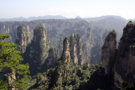 View from Mount Huangshizhai Zhangjiajie in Hunan Province, Chinaの写真素材