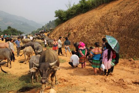 Coc Ly market, Sapa, Vietnamのeditorial素材