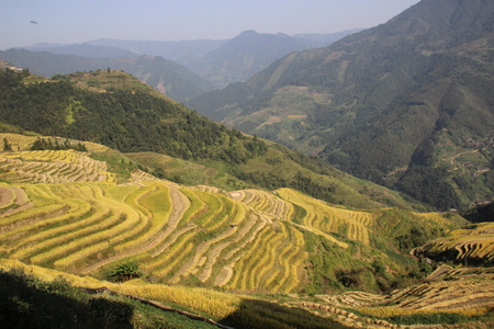 Longji rice terrace ping an, Guangxi, Chinaの写真素材