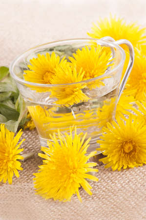 prepare some dandelion tea in a glass cup with waterの写真素材