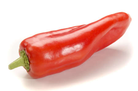 one red spicy paprika on bright の写真素材