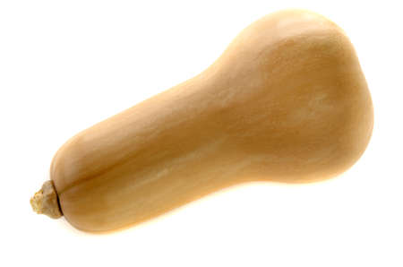 one organic butternut pumpkin on white backgroundの写真素材