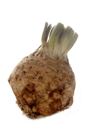 fresh celery root isolated on white backgroundの写真素材