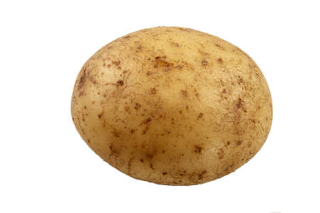 one raw potato, isolated on white backgroundの写真素材