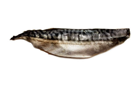 raw scottish mackerel fillet, isolated on white backgroundの写真素材