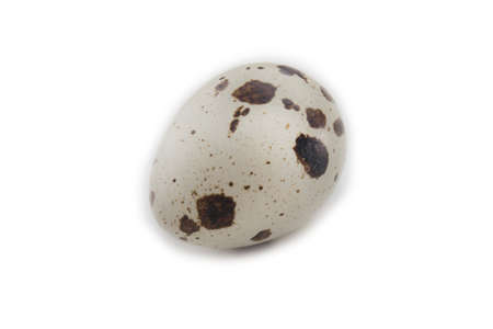 A quail egg, isolated on white backgroundの写真素材