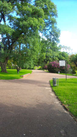 Tree-lined pathの写真素材