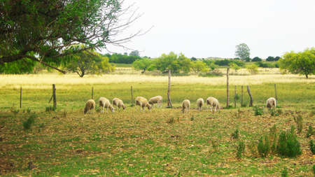 Landscapes of the countrysideの写真素材