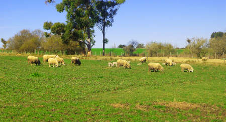 countrysideの写真素材