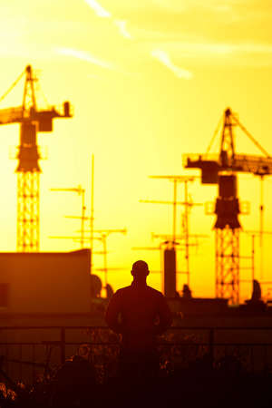 Watching the sun rise between the cranesの写真素材