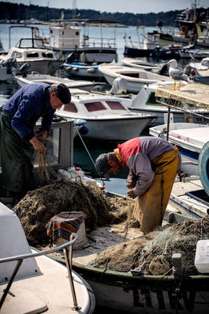 ROVINJ, CROATIA - 28 MARCH 2014: Old croatian fishermen checking their nets under the watchful eye of a seagull.のeditorial素材