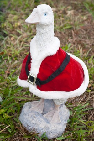 A Christmas goose adorns a Florida yard.の写真素材