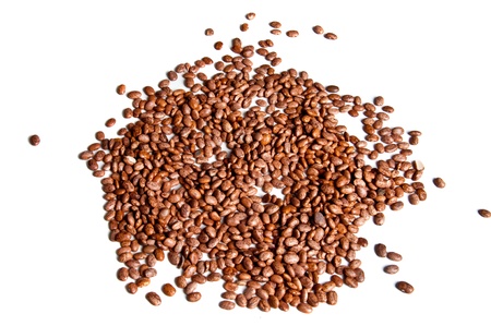 Pile of dried pinto beans, isolated on white backgroundの写真素材