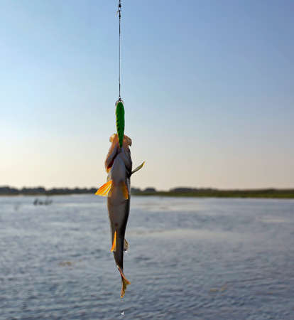 Fishing in the delta of the Volga River on the river Baklanya in August. August 21, 2016. The...