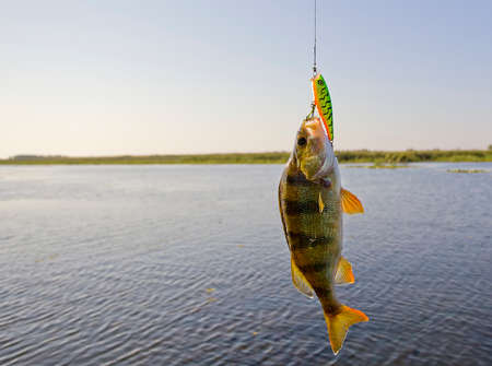 Fishing in the delta of the Volga River on the river Baklanya in August. August 21, 2016. The Astrakhan region. Russia.の写真素材