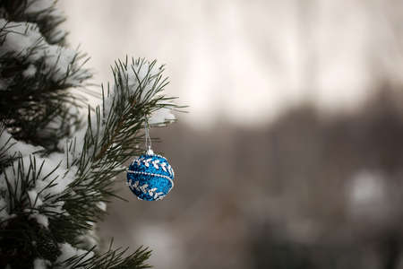 New Year's ball on a Christmas tree during a snowfall. The concept of a gift card for the new year.の写真素材