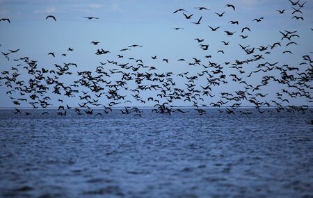 Beautiful landscape in the Volga Delta. Astrakhan Region. Russiaの写真素材