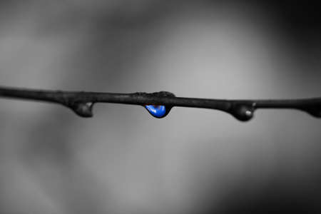 Close-up of a drop of water in the morning after an icy rain. Winter subfreezing weather concept. Monochrome photo. Motion blur.の写真素材