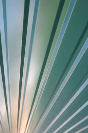 Abstraction, Background, Green Linesの写真素材