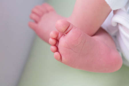 small gentile rose foots infant, with copy-spaceの写真素材