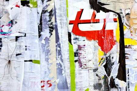 abstract background witn spiderの写真素材