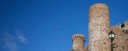 fragment of an ancient fortress on a background of blue sky with birdsのeditorial素材