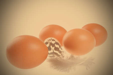 eggs with a feather, easter still life, image style