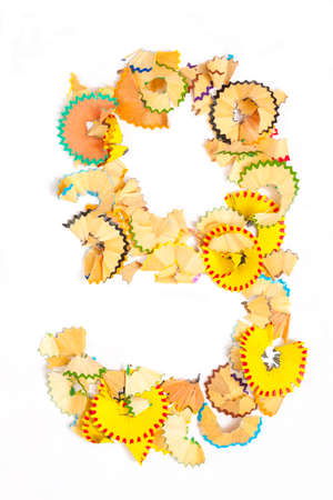 Photo of figure 9 from colored shavings on white background