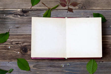 vintage open book on the aged boards of the ancient table. Still life