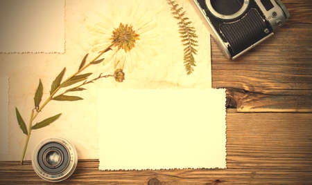 copy space photo, retro camera, lens, and pressed plant, herbarium on wooden table background.  image filter retro styleの写真素材