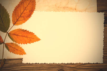 blank old photo and autumn leaves on vintage textured boards.  image filter retro styleの写真素材