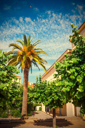 Mediterranean town Tossa de Mar, the yard on the street Avinguda Pelegr?, Catalonia, Spain.  image styleの写真素材