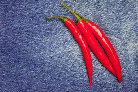 red hot chili pepper on jeans backgroundの写真素材