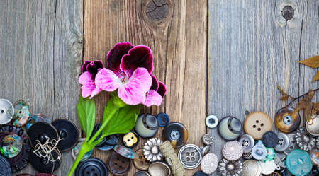 set of vintage buttons with a geranium flower on the aged boards of tableの写真素材