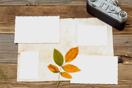 copy space photo, retro camera and leaves, herbarium on wooden table backgroundの写真素材