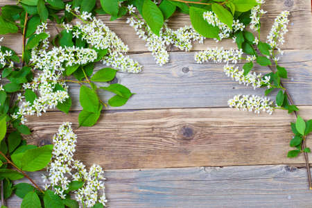 still life with branch of blossom bird cherry on vintage boards of antique table with copy spaceの写真素材